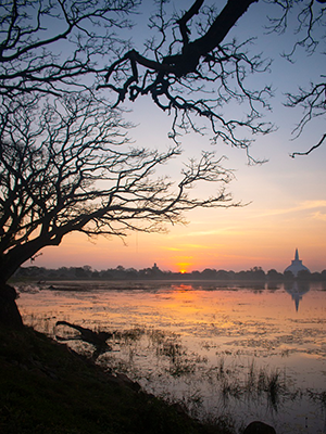 Anuradhapura